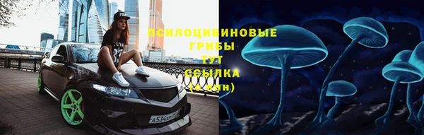 прущий лед Армянск