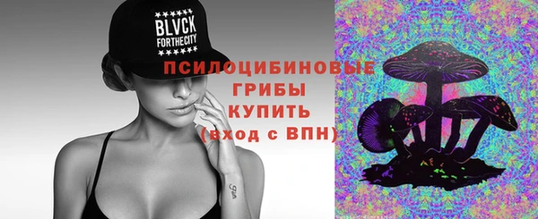 прущий лед Армянск