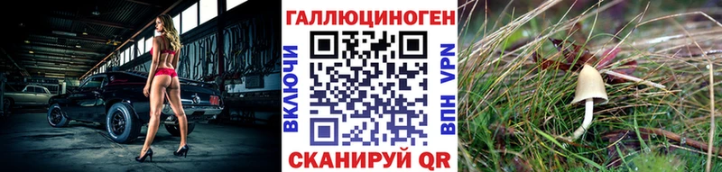 Псилоцибиновые грибы прущие грибы  купить наркотик  Курган 
