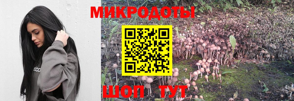 Курган  Псилоцибиновые грибы прущие грибы  Галлюциногенные грибы MAGIC MUSHROOMS  Вход с VPN 